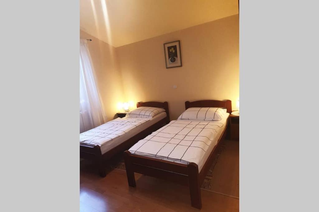 Apartman Stela Poreč Dış mekan fotoğraf