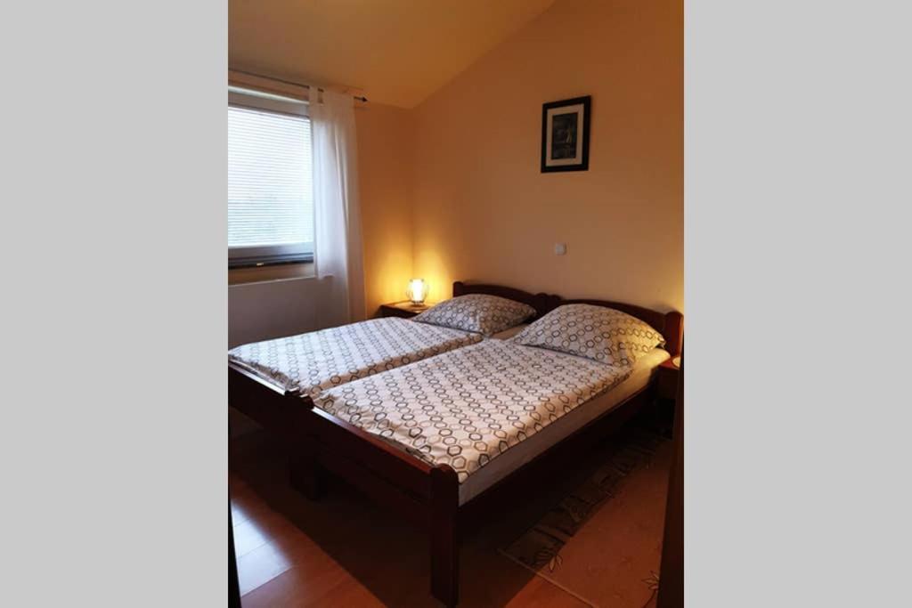 Apartman Stela Poreč Dış mekan fotoğraf