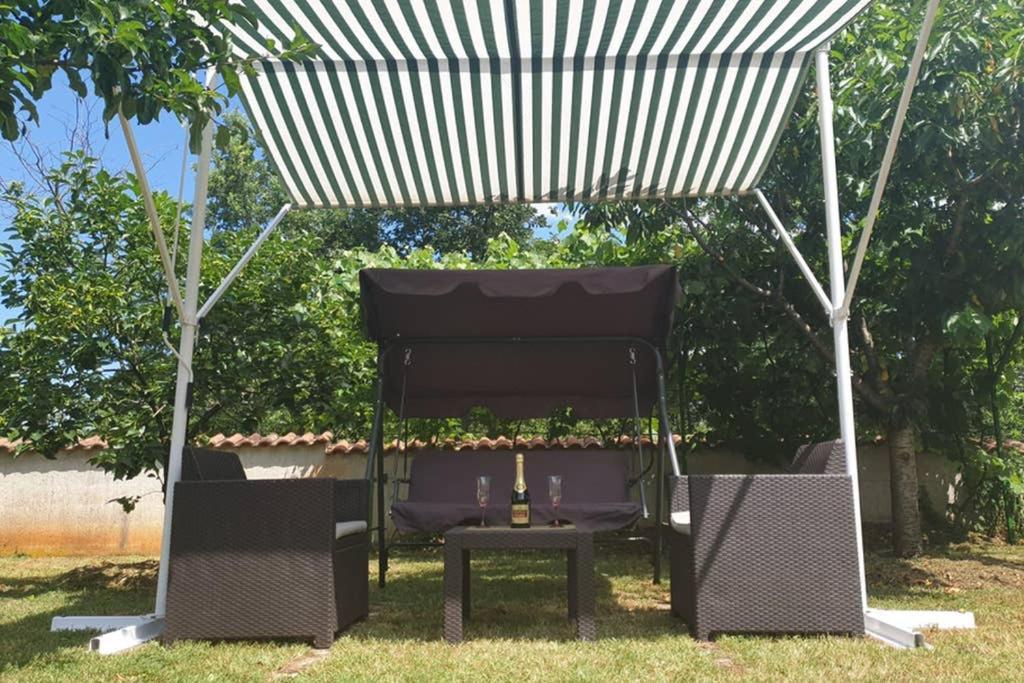 Apartman Stela Poreč Dış mekan fotoğraf